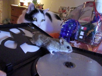 harley on the star trek darkness dvd xo!