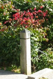 red door into autumn